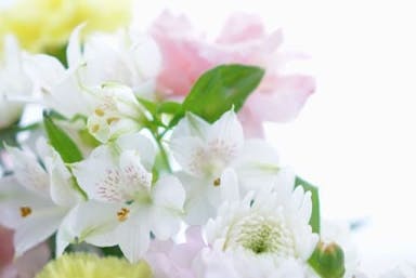 【葬儀のお花】供花についてマナーや注意点などをわかりやすく解説
