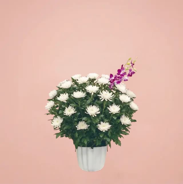 【HK3-L150】の供花イメージ