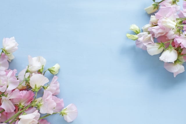 【東京都葛飾区での家族葬】葛飾区での家族葬の概要や流れを解説