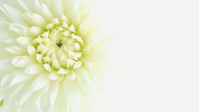 家族葬は終わった後が大変？家族葬のその後にすべきことと注意点