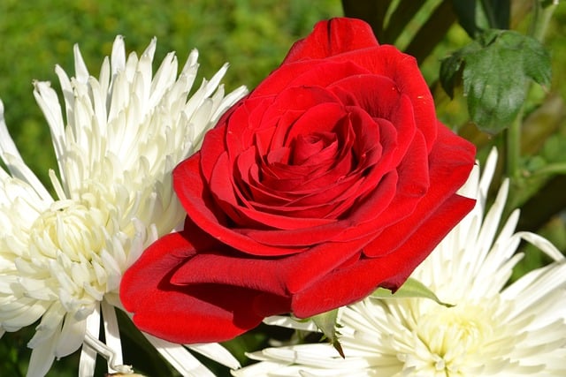 【東京都江東区での火葬式】江東区での火葬式の概要や流れを解説