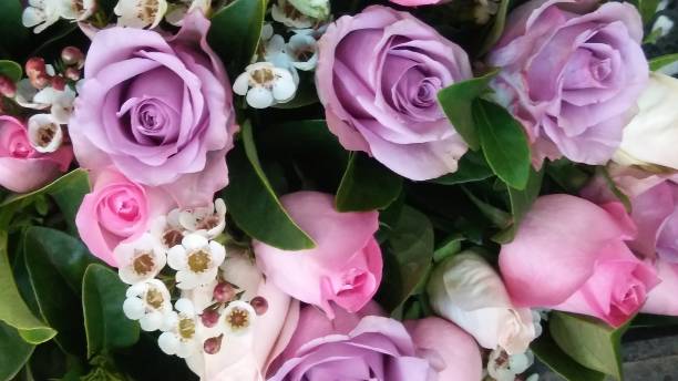 【手稲区での一日葬】手稲区での一日葬の概要や流れを解説