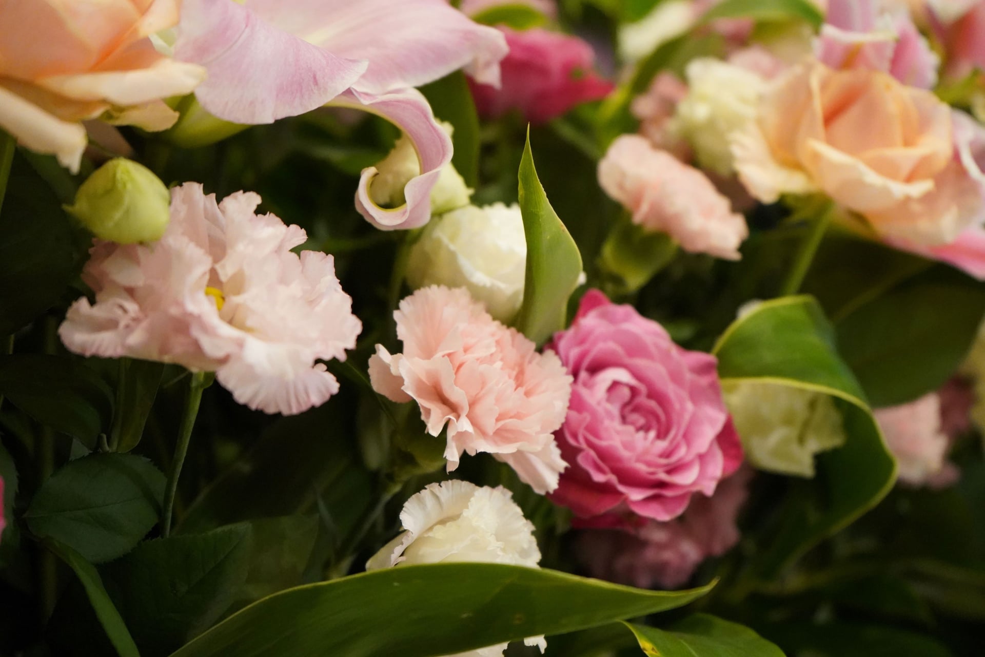 大阪府・大阪市でお葬式をお考えの方へ、費用や流れを紹介します