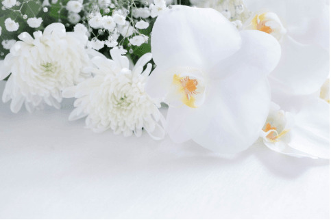 献花とは？作法や供花、花輪などについて解説