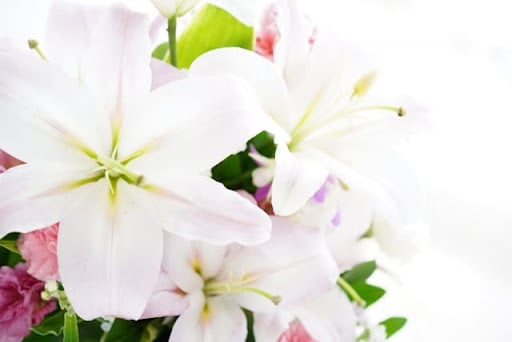 意外と知られていない『葬儀の生前予約のメリット』とは？