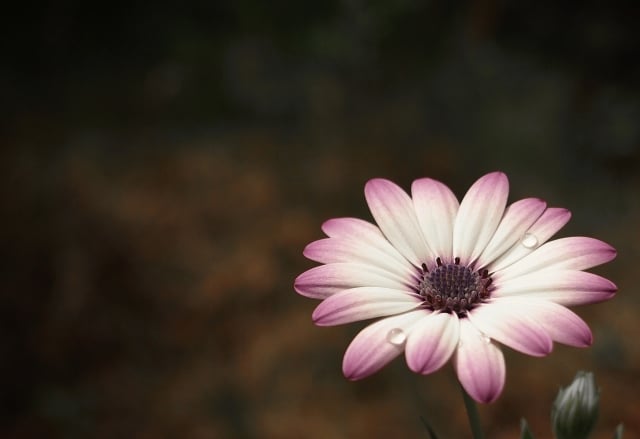 葬儀の受付を頼まれたら？やることや知っておくべきマナーについて