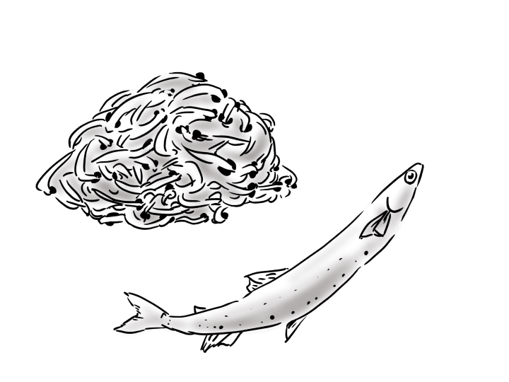 小ちりめんじゃこ