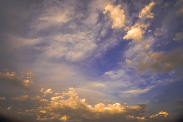 【東京都墨田区での家族葬】墨田区での家族葬の概要や流れを解説