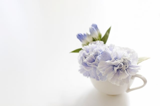 【東京都北区での一日葬】北区での一日葬の概要や流れを解説