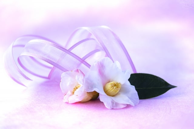 【東京都江戸川区での家族葬】江戸川区での家族葬の概要や流れを解説