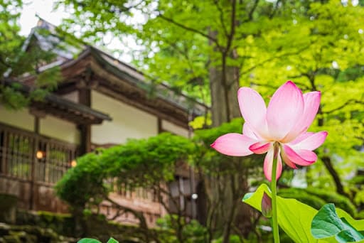 初めてのお盆にやるべきことや必要な準備についてご紹介します。